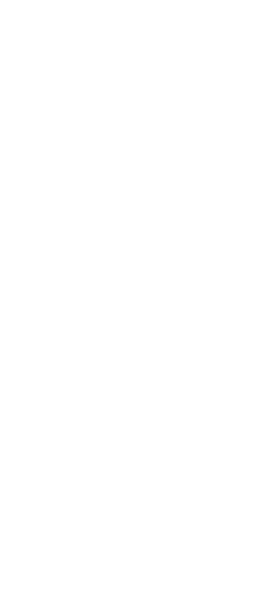 六甲の夜を彩る